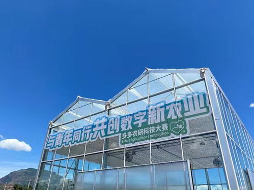 2024中國(guó)農(nóng)產(chǎn)品電商發(fā)展報(bào)告 拼多多以人與技術(shù)雙輪驅(qū)動(dòng)，培育新產(chǎn)品與技術(shù)開(kāi)發(fā)
